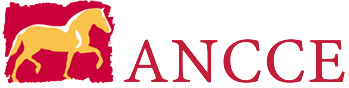 header logo fondtransparent